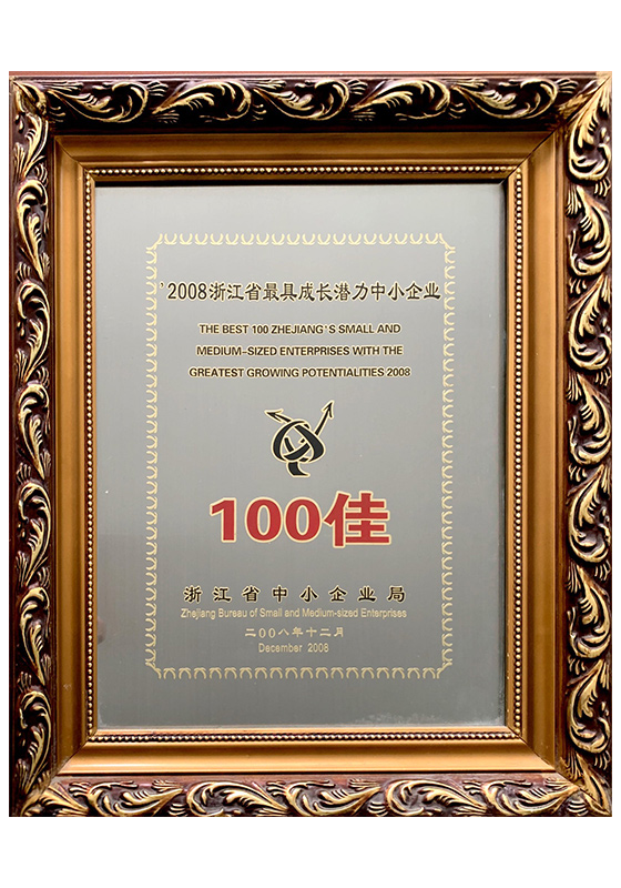 2008年浙江省最具成长潜力中小企业